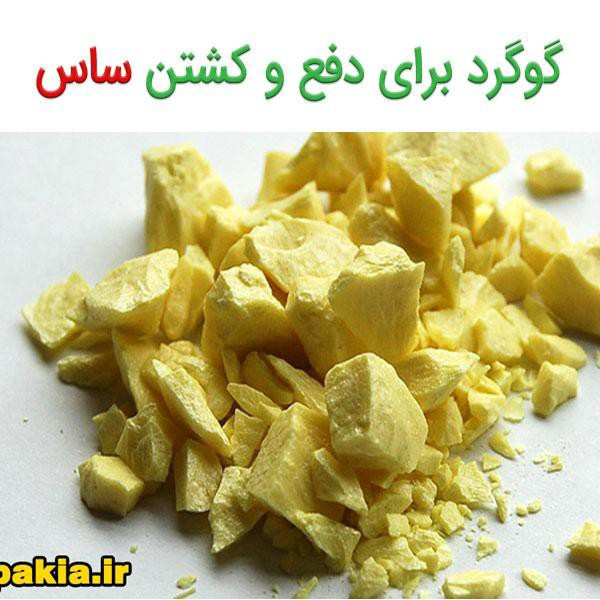 پودر گوگرد جنس اصلی