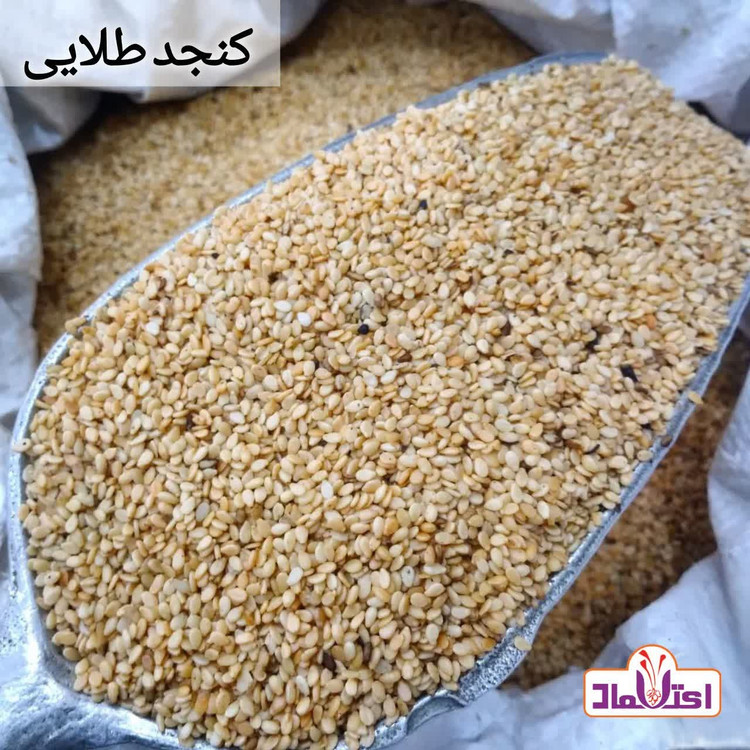 کنجد طلایی اعلا 500 گرمی اعتماد کاملا تمیز (کنجدطلایی)