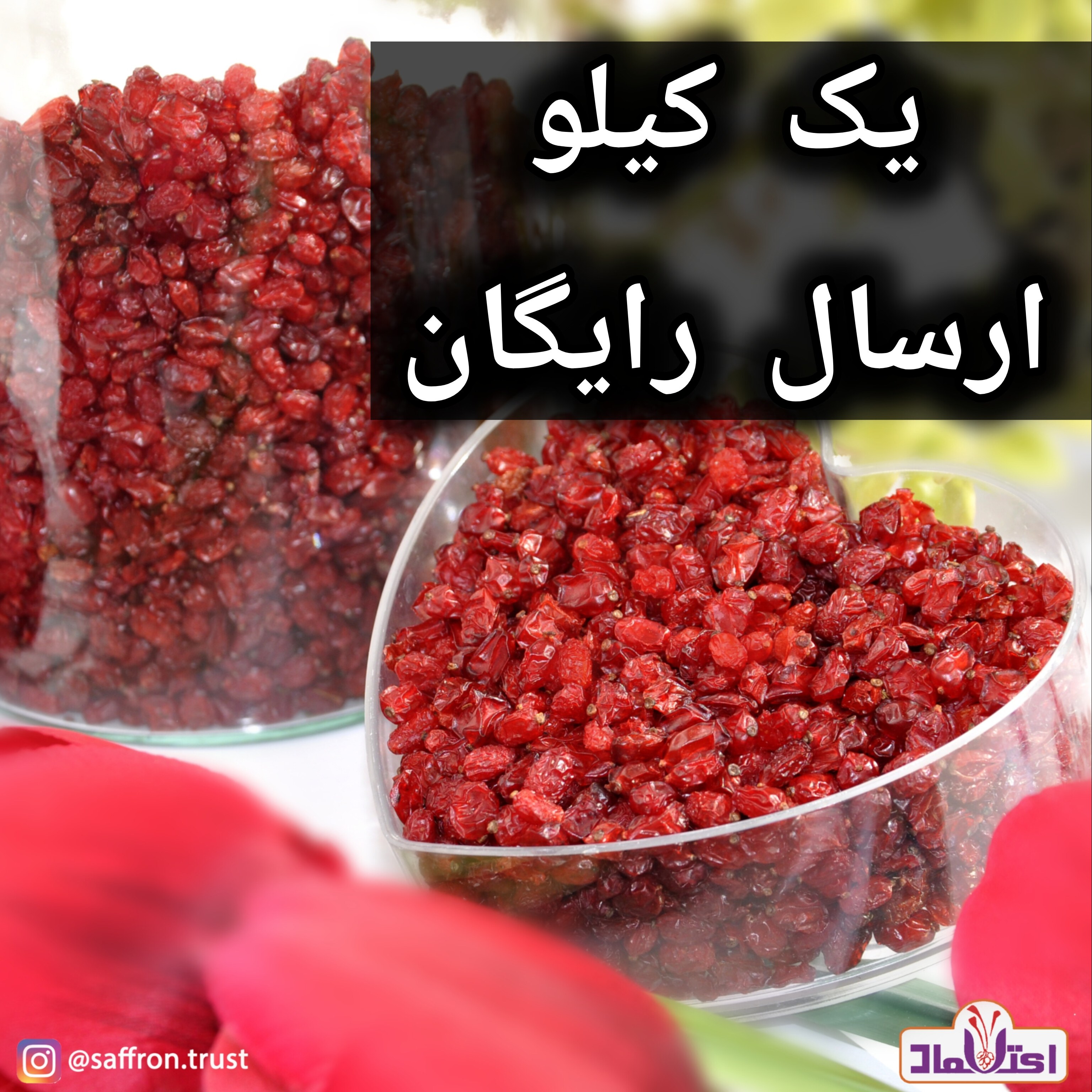 زرشک پفکی اعلا 250 گرمی اعتماد امسالی رنگ روشن دانه درشت