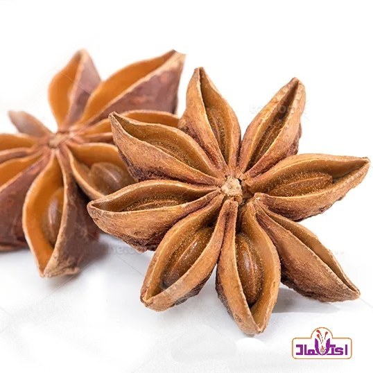 بادیان ستاره ای 250 گرمی اعتماد بادیون خطایی