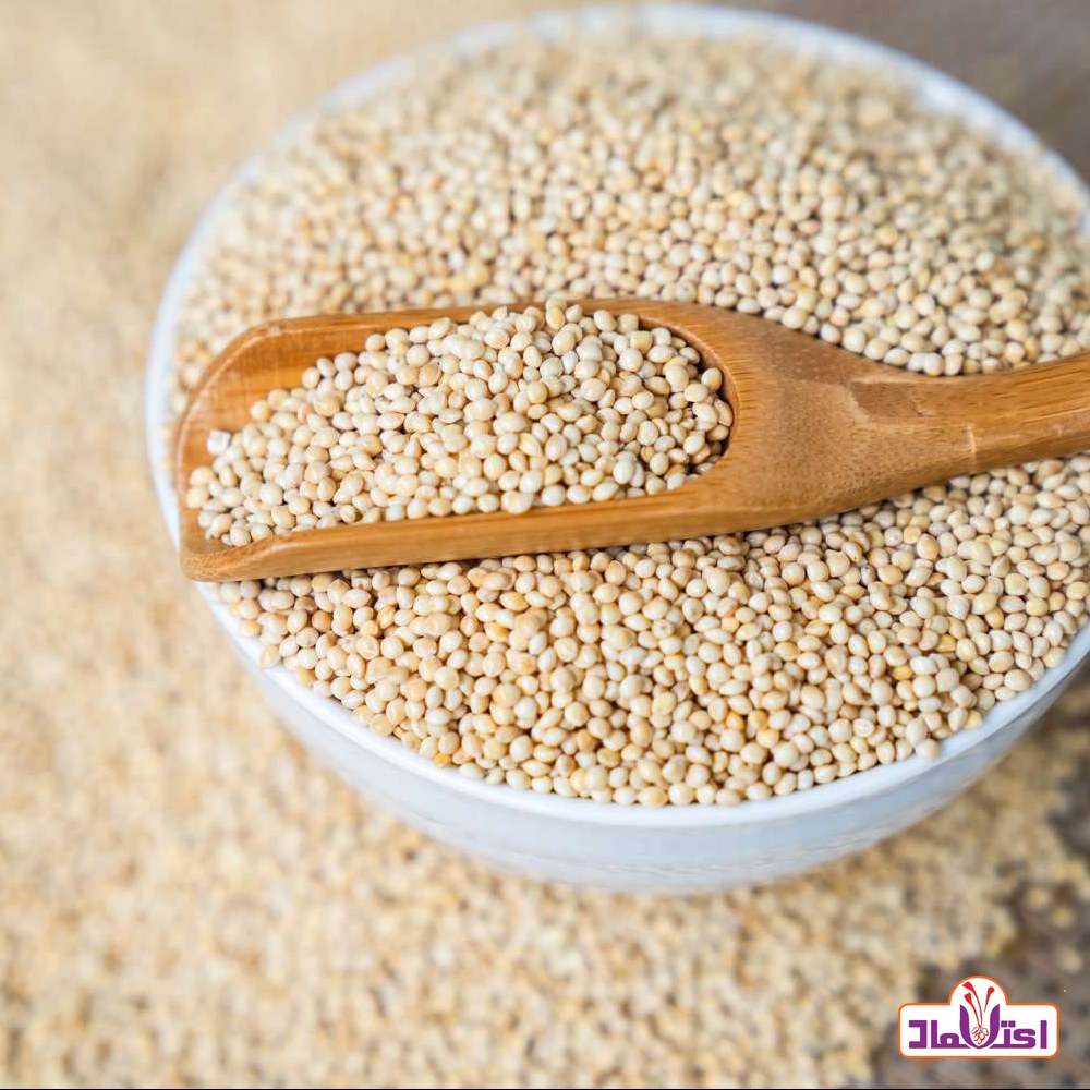 ارزن اعلا یک کیلویی اعتماد مناسب فنج و قناری