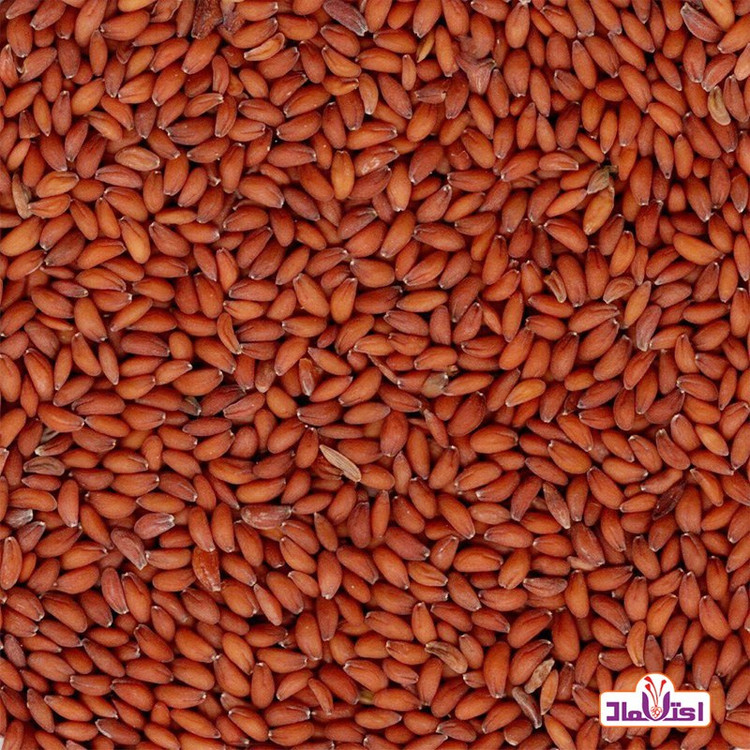 بذر شاهی 100گرمی اعتماد درجه یک و اعلا