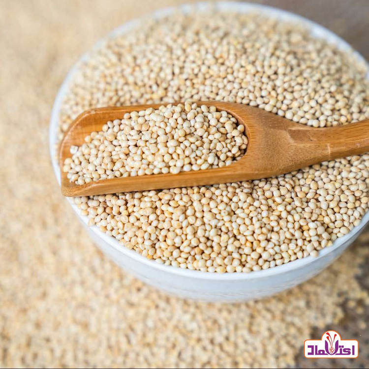 ارزن اعلا 250 گرمی اعتماد مناسب فنج و قناری