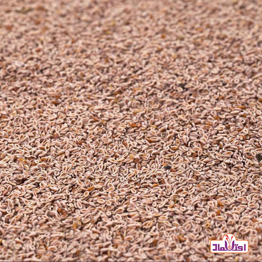 اسفرزه 100 گرمی اعتماد