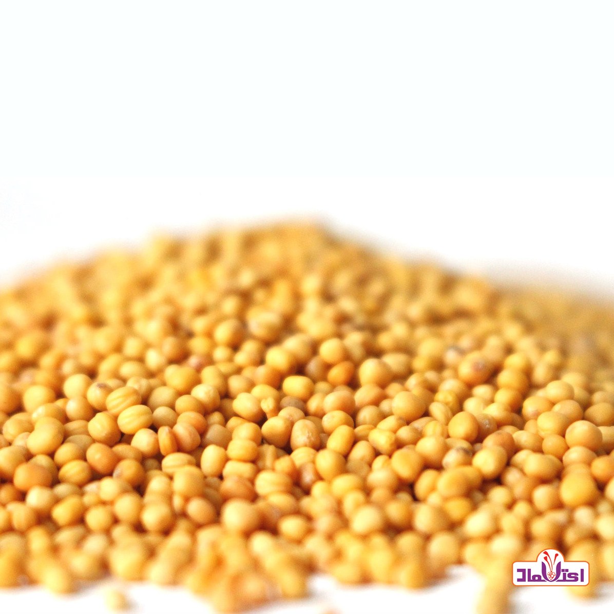 خردل دانه زرد اعلا 500 گرمی اعتماد(دانه خردل ناساب)