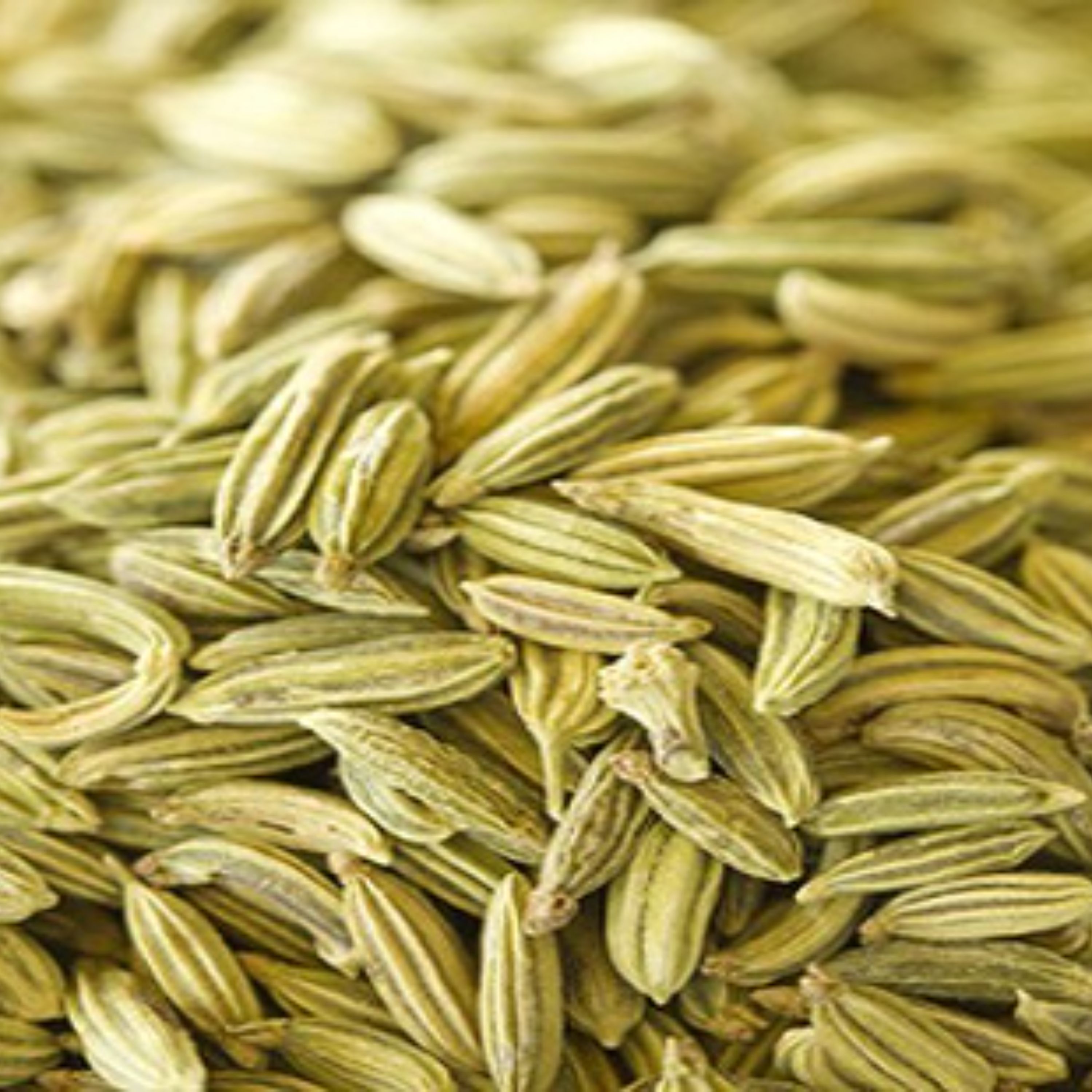 رازیانه اعلا 100 گرمی اعتماد امسالی و کاملاتمیز(بادیان)