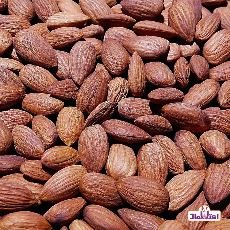 مغز بادام درختی برشته 100 گرمی اعتماد تازه پخت و درشت