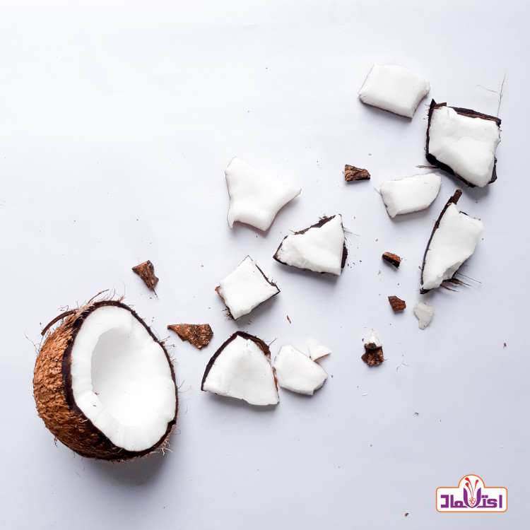 پودر نارگیل چرب 100 گرمی اعتماد