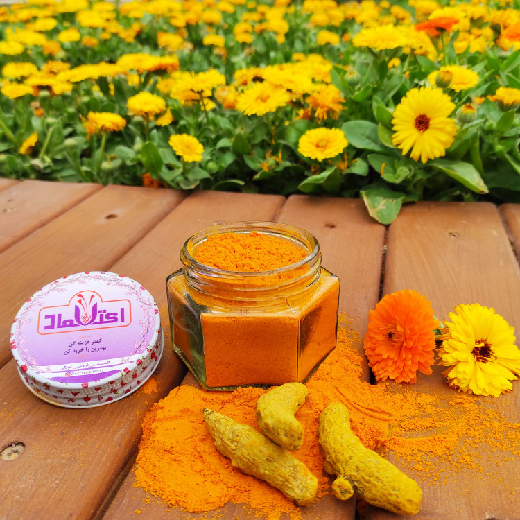 زردچوبه قلم هندی اعلا 500 گرمی اعتماد درشت و یکدست