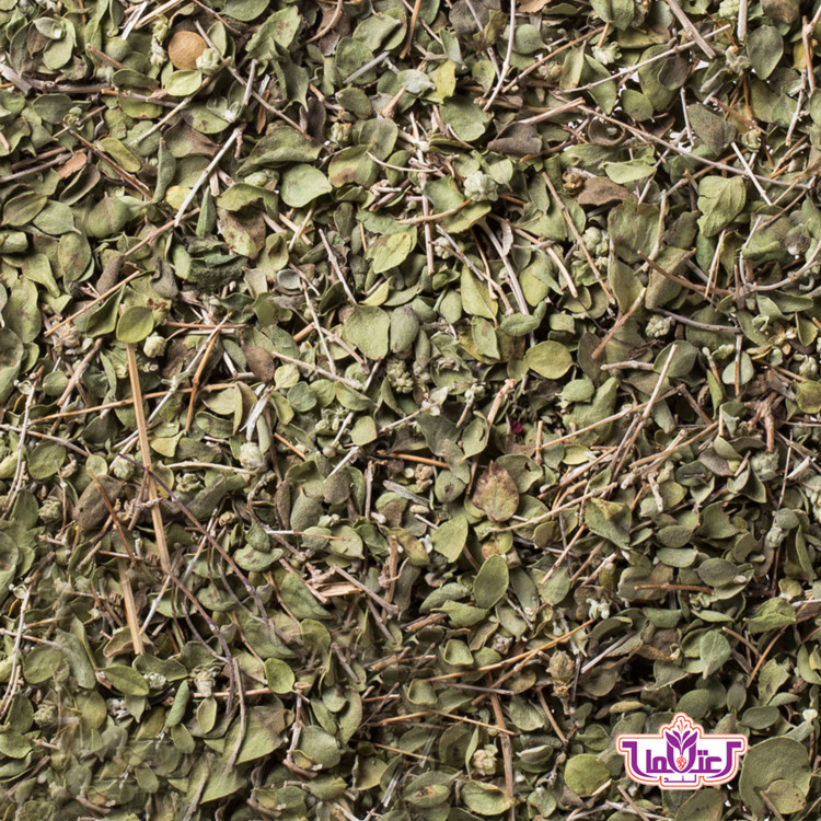آویشن شیرازی اعلا 100 گرمی اعتماد تمیز و برگ پهن و تازه