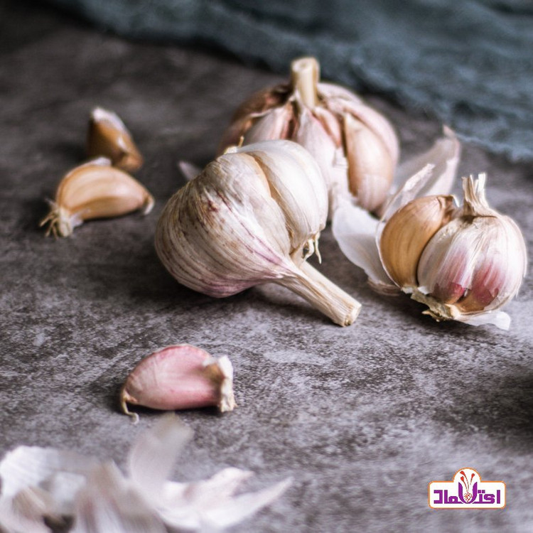 پودر سیر اعلا 250 گرمی اعتماد تازه(تخفیف دار)(پودرسیر)