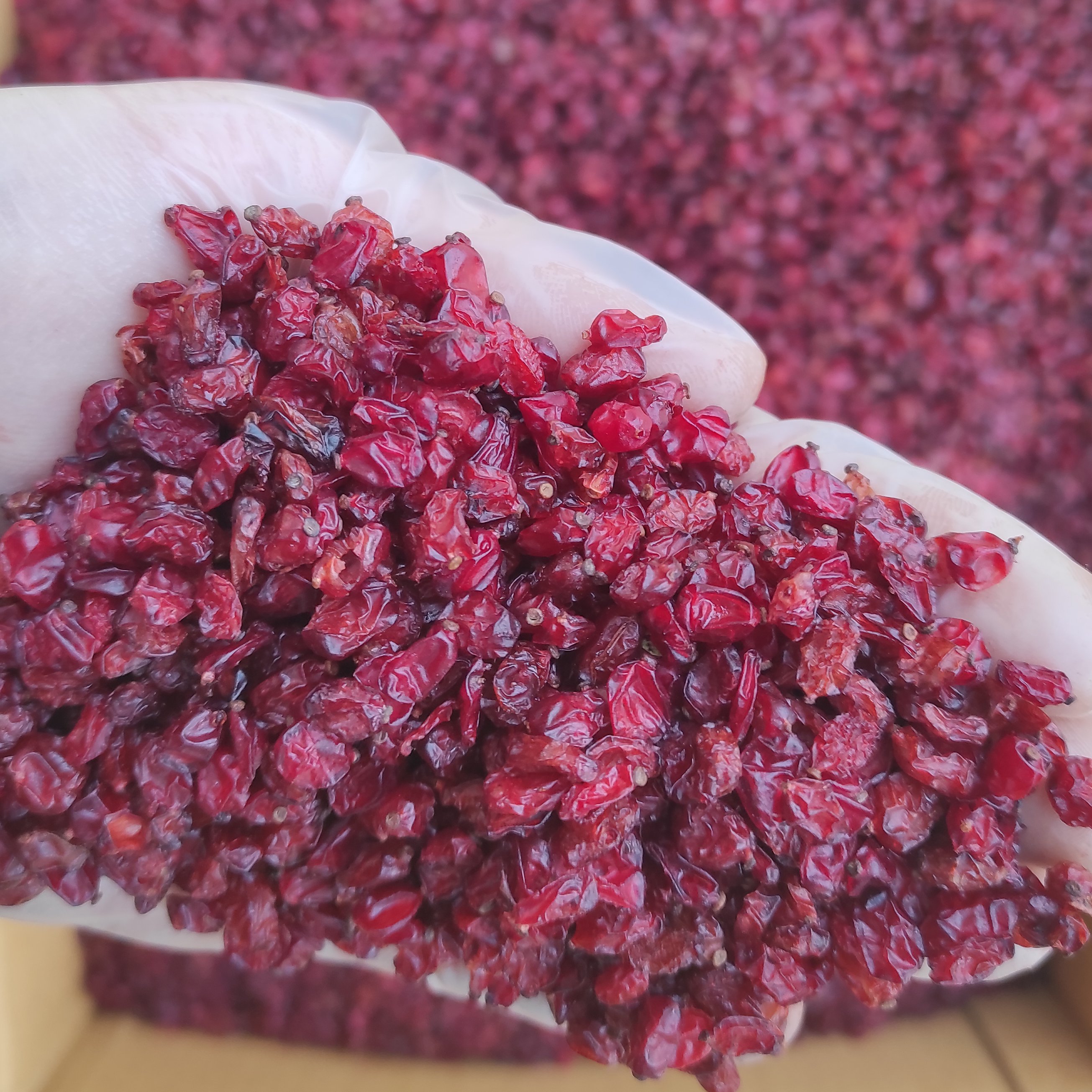 زرشک اناری لوکس بار جدید 250 گرمی اعتماد(تخفیف ویژه)