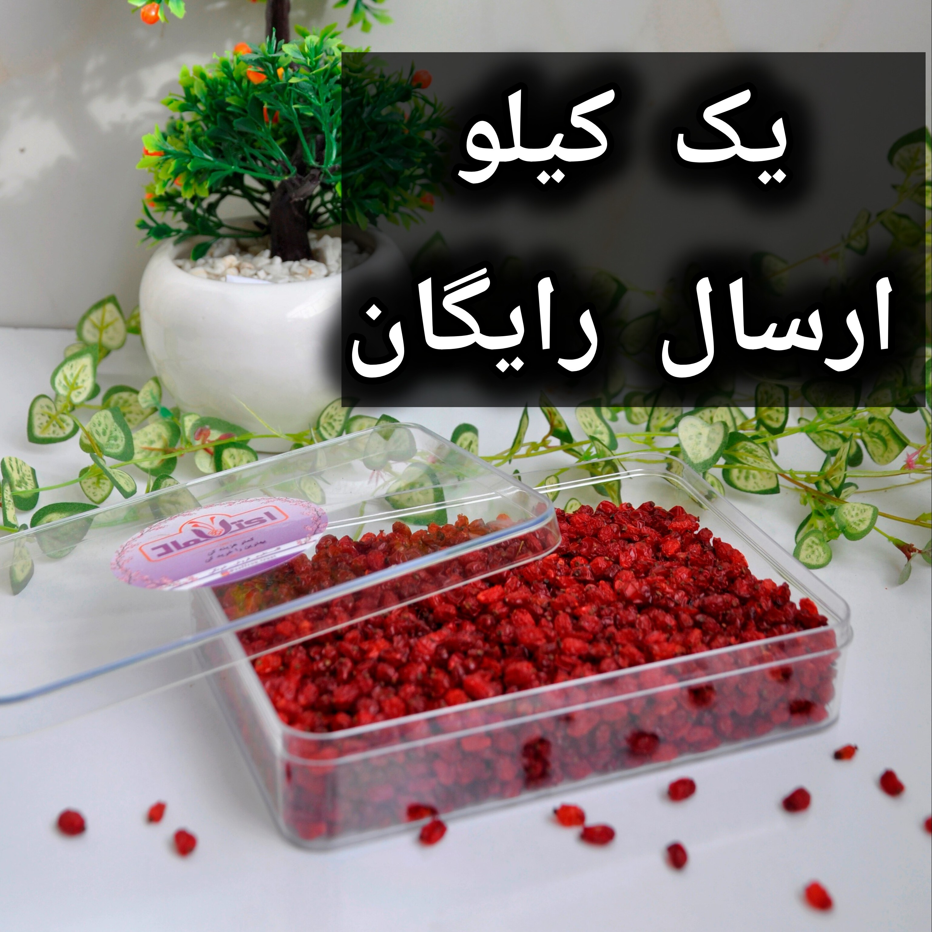 زرشک اناری اعلا امسالی یک کیلویی اعتماد گوشتی و تازه
