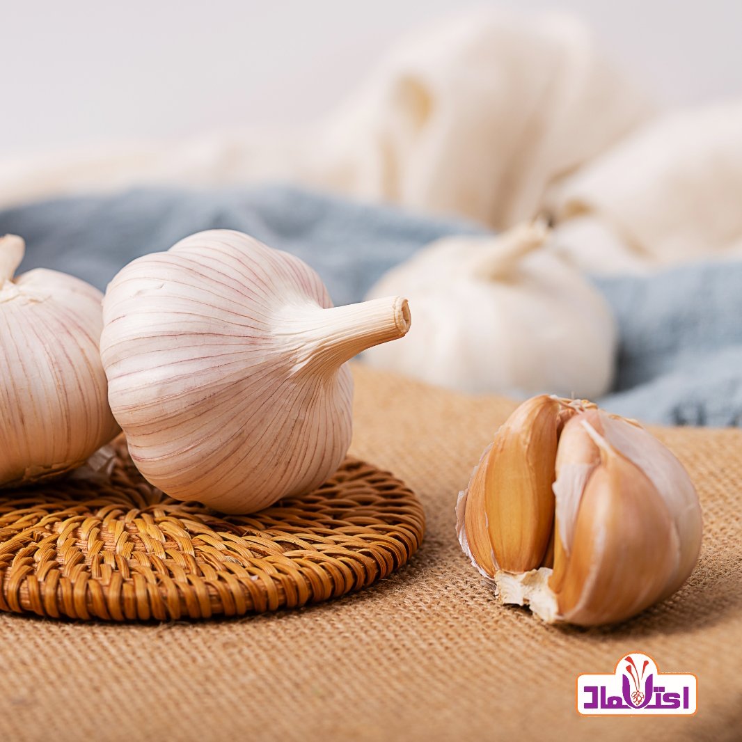 پودر سیر اعلا 500 گرمی اعتماد تازه(تخفیف دار)(پودرسیر)