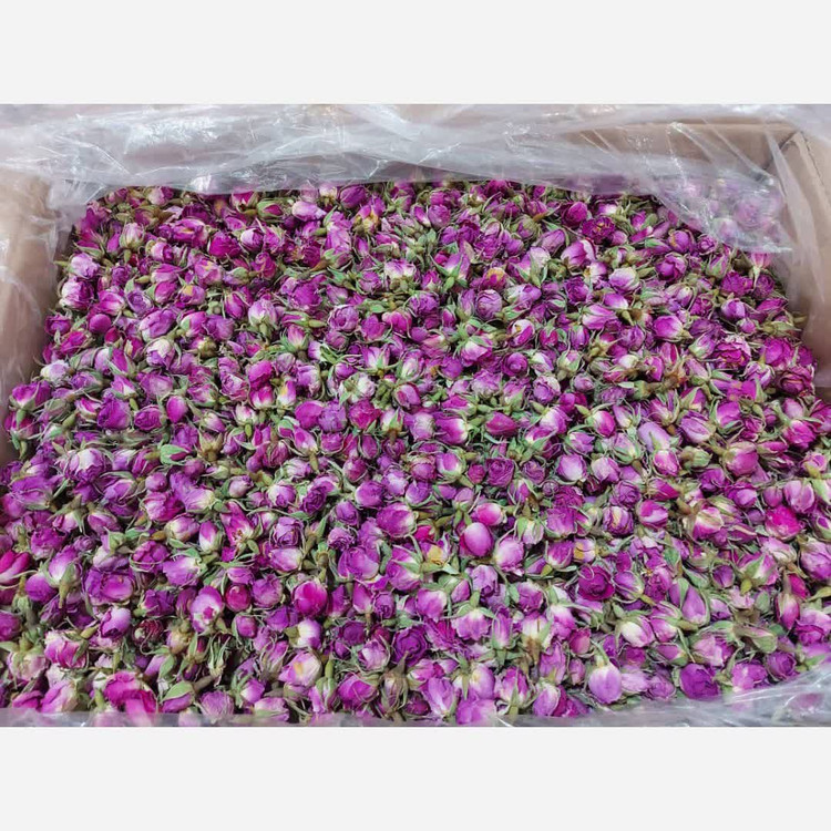 غنچه گل محمدی امسال برتر اعلا(250گرم)