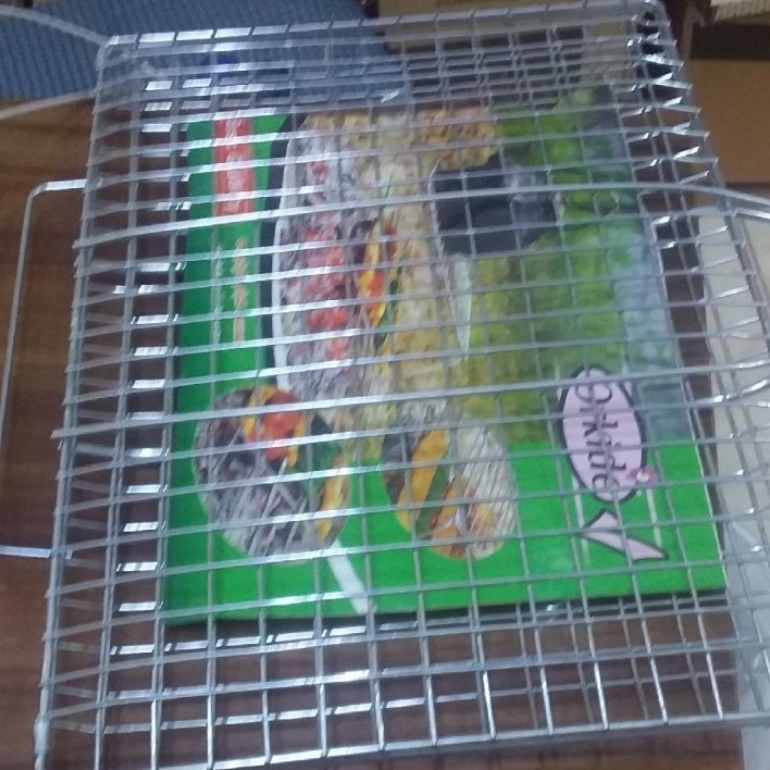 تور کباب ارکیده بزرگ