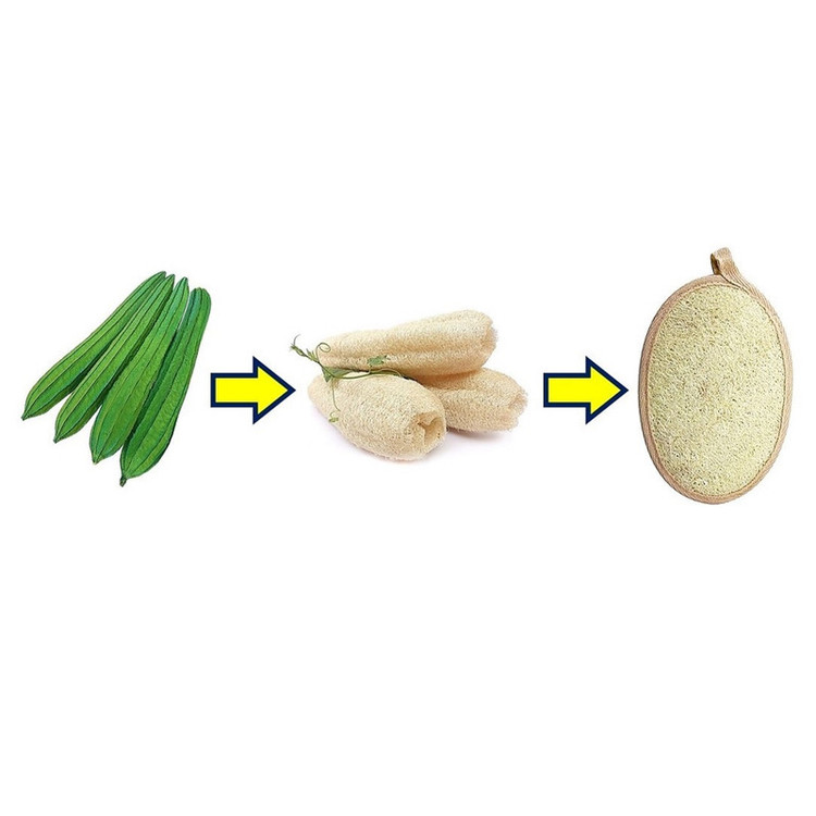 لیف حمام مدل لایه بردار طبیعی گیاه لوفا بسته 3 عددی
