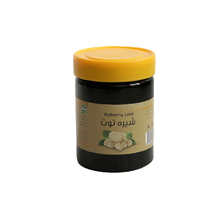 شیره توت فدک - 500 گرممدل 1