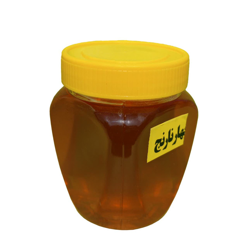 عسل بهار نارنج فدک - 450 گرم