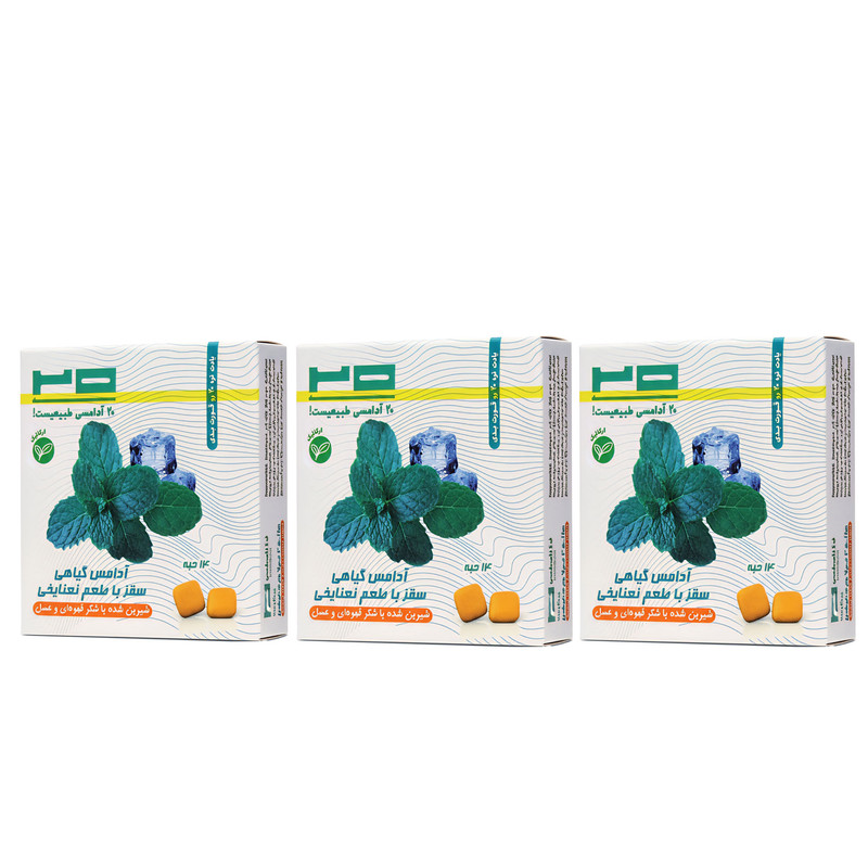 آدامس نعنا یخ طبیعی بیست - 50 گرم بسته 3 عددی