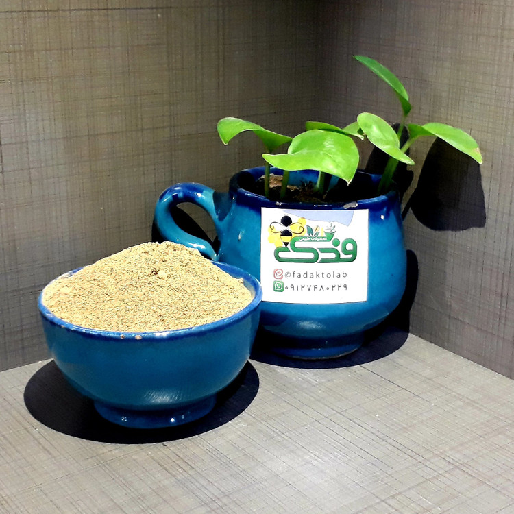 چای ماسالا سنتی بدون شیرخشک فدک (1 کیلوگرم)