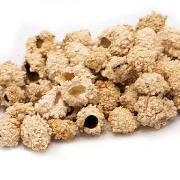 شکرتیغال ممتاز فدک (رفع سرفه ملین سینه) 100 گرم