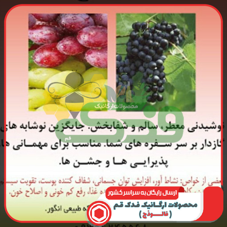 سرکه شیره اعلاء فدک (600گرم)