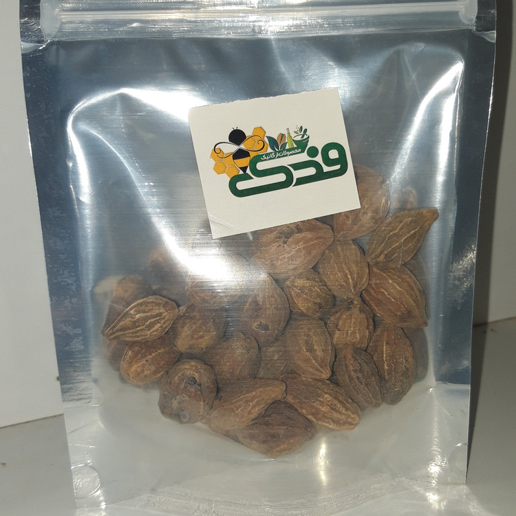 هلیله زرد ممتاز فدک (100 گرم)