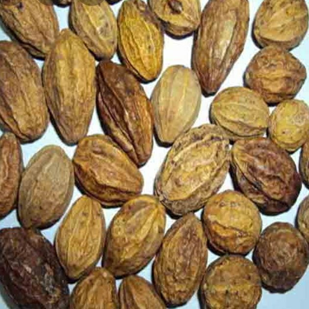 هلیله زرد ممتاز فدک (100 گرم)
