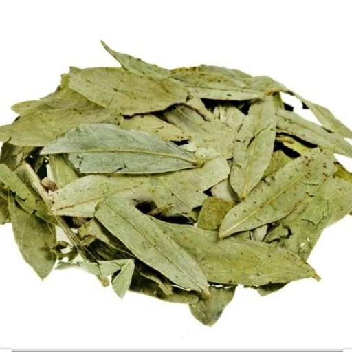 گیاه برگ سنا فدک (70گرم)