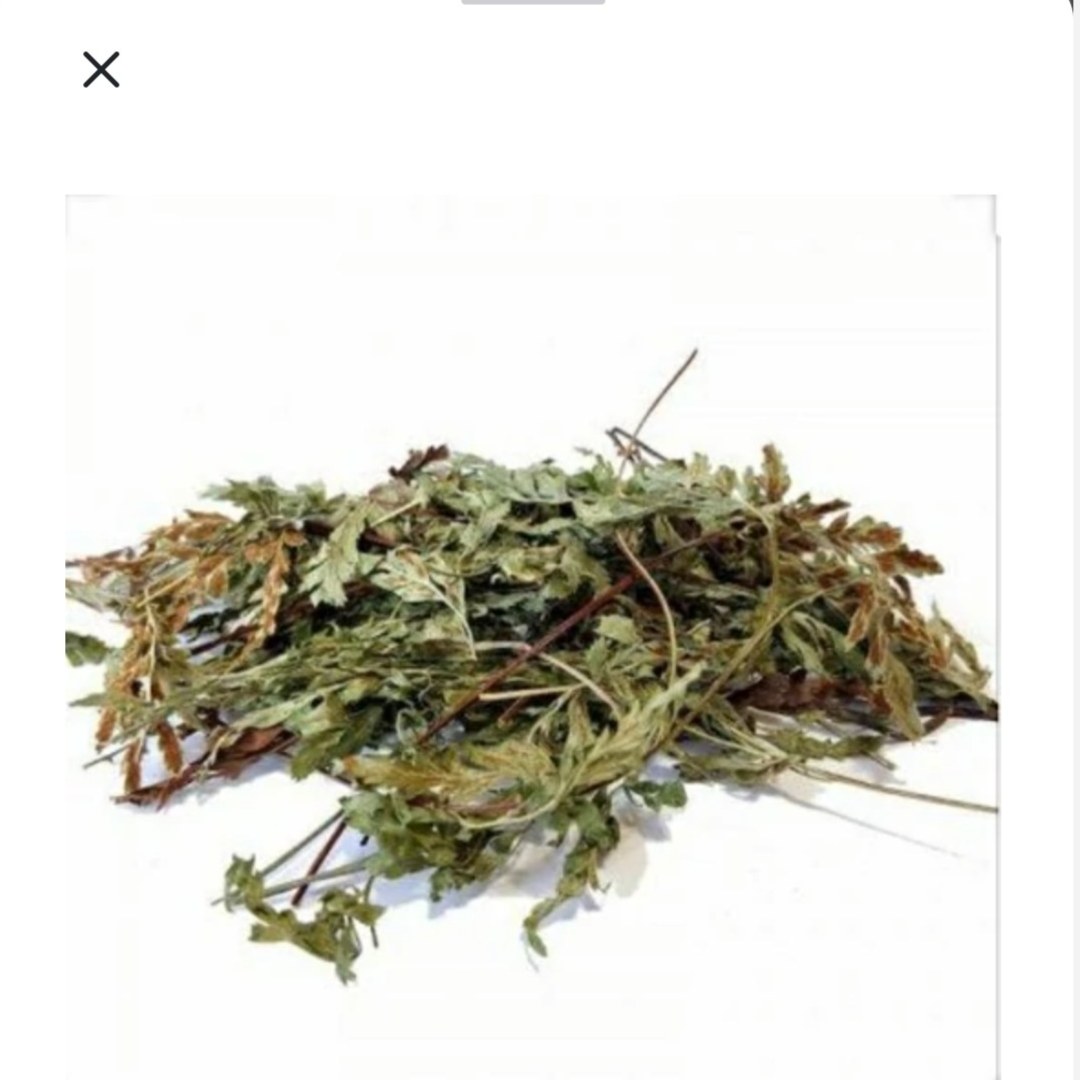 گیاه پرسیاوشان فدک