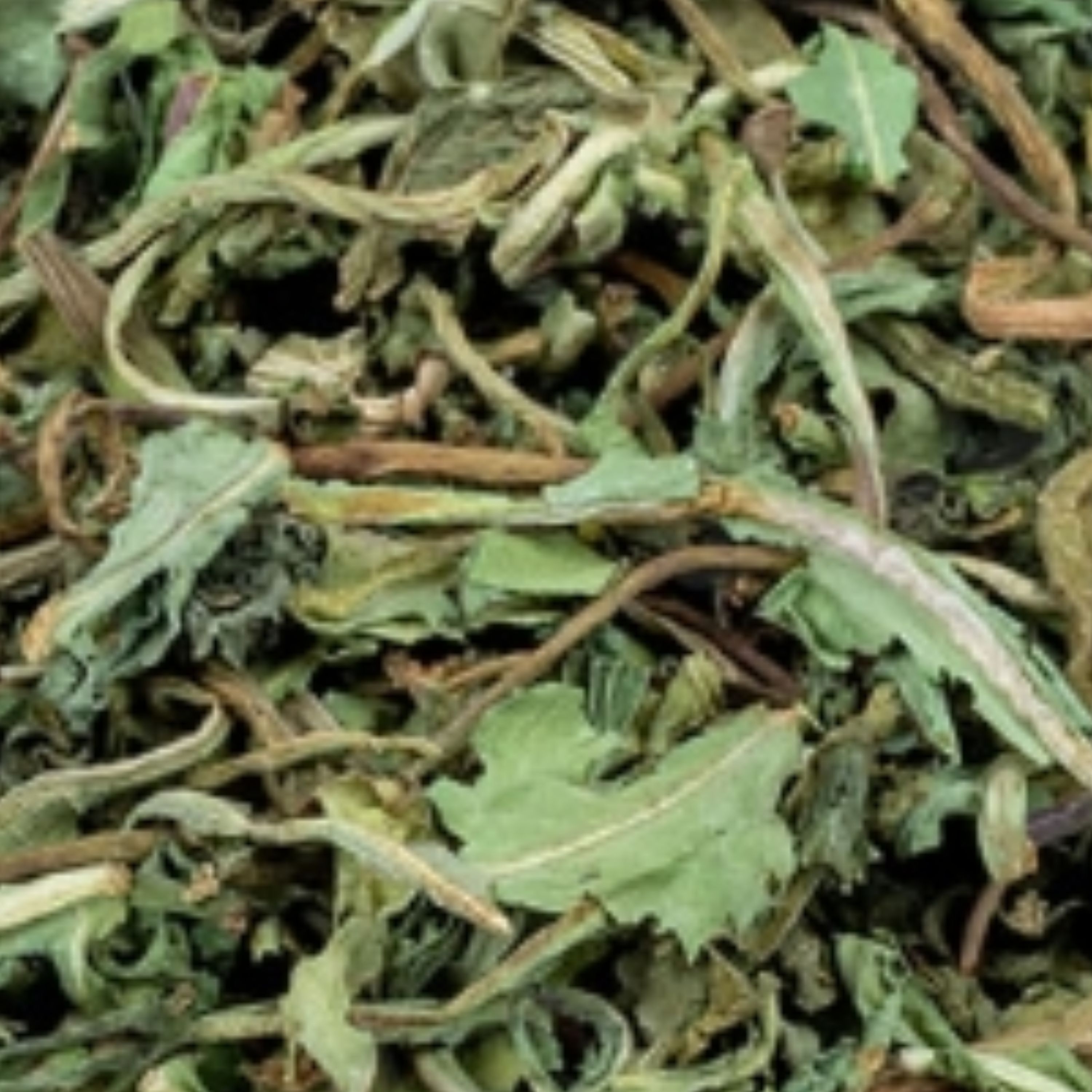 گیاه کاسنی 5ستاره فدک (100 گرم)