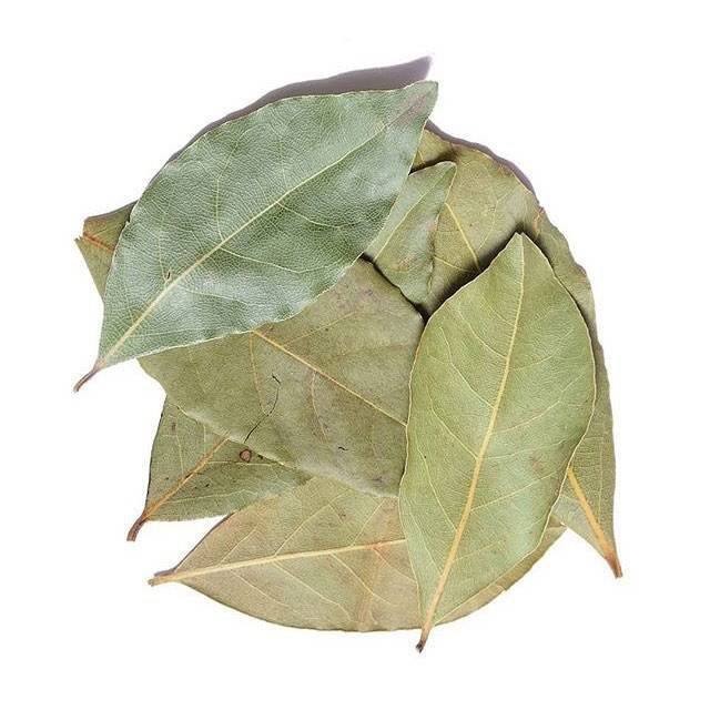 برگ بو ممتاز 40 گرم فدک (آشپزی حرفه ای)