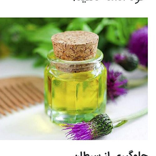 روغن دم اسب فدک (45 سی سی)