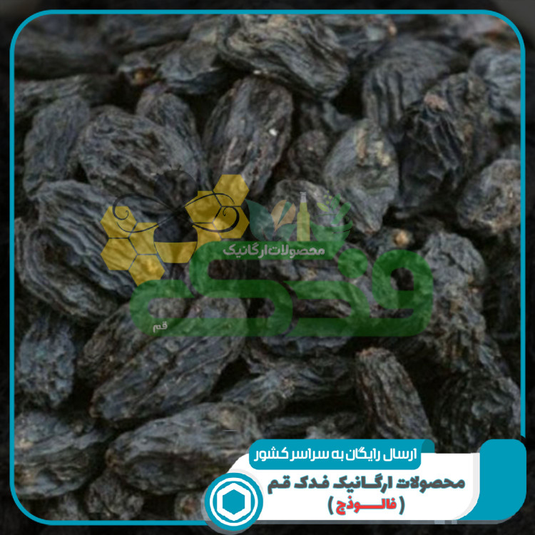 مویز سیاه شاهانی - مویز دشمن زیاری 5ستاره فدک (1 کیلوگرم)