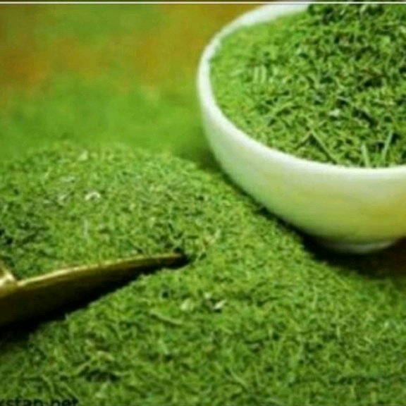 سبزی شوید خشک ممتاز فدک (100گرم)