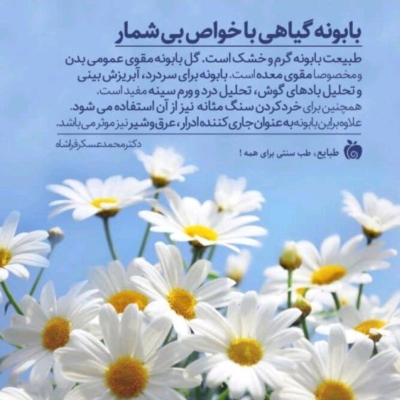 روغن بابونه طیبستان