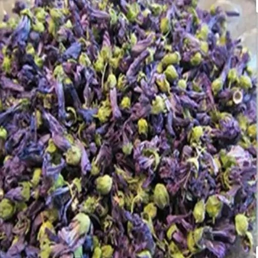 گیاه گل پنیرک 5ستاره فدک (50گرم)