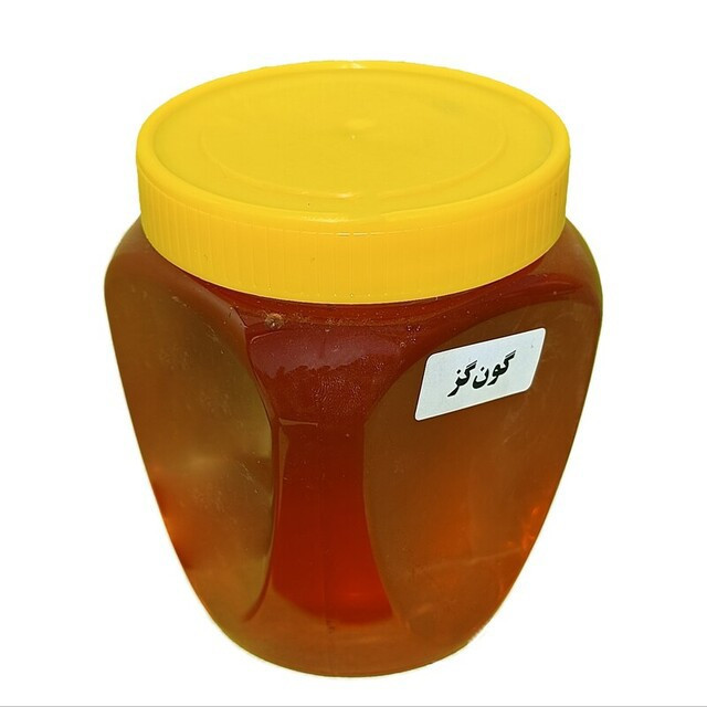 عسل گون گز طبیعی 5ستاره فدک (500 گرم)