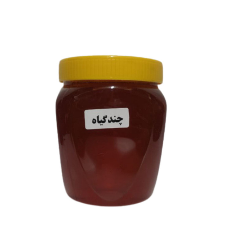 عسل چندگیاه 5ستاره فدک (دوبسته یک کیلویی)