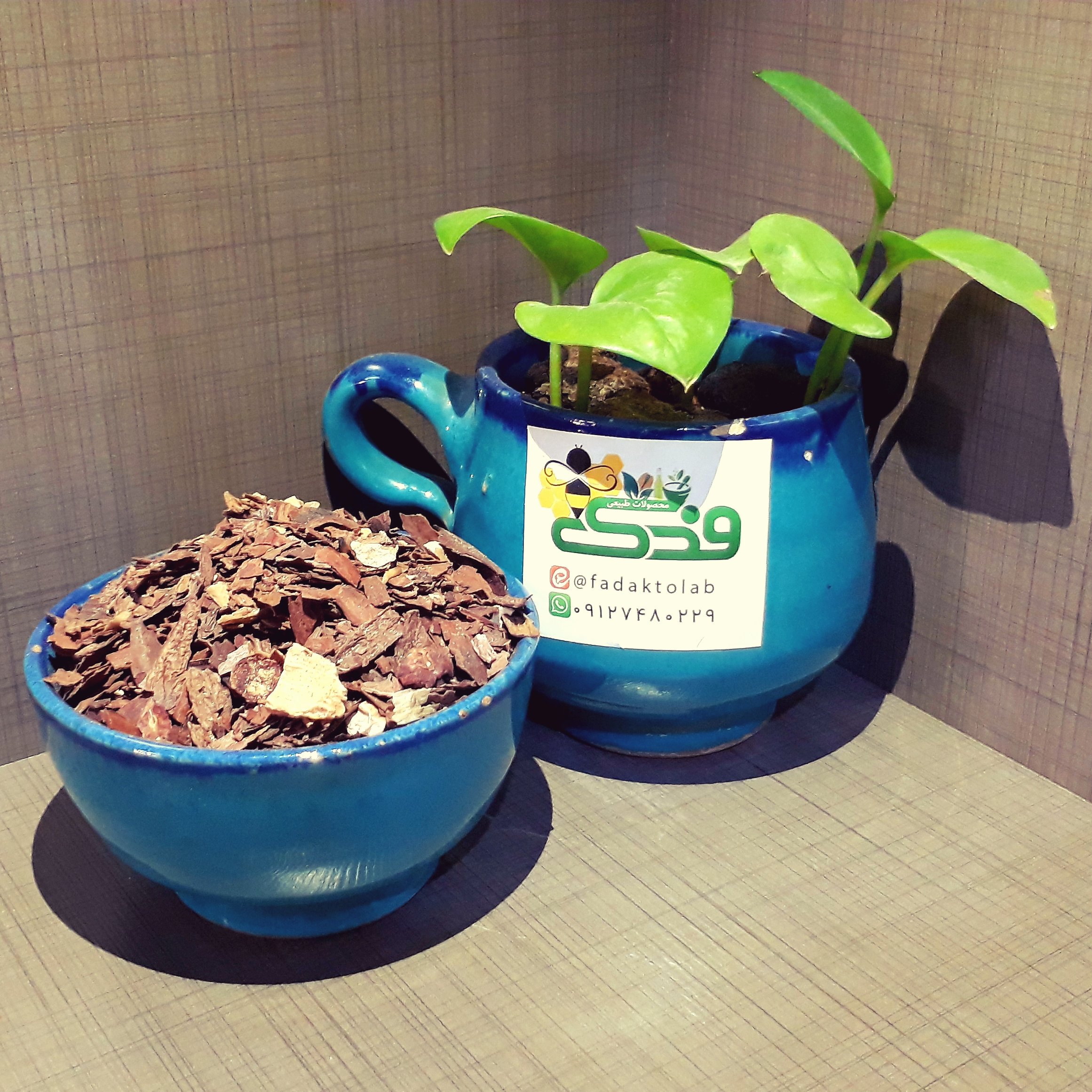 گیاه جفت بلوط درجه 1 فدک (200گرم)