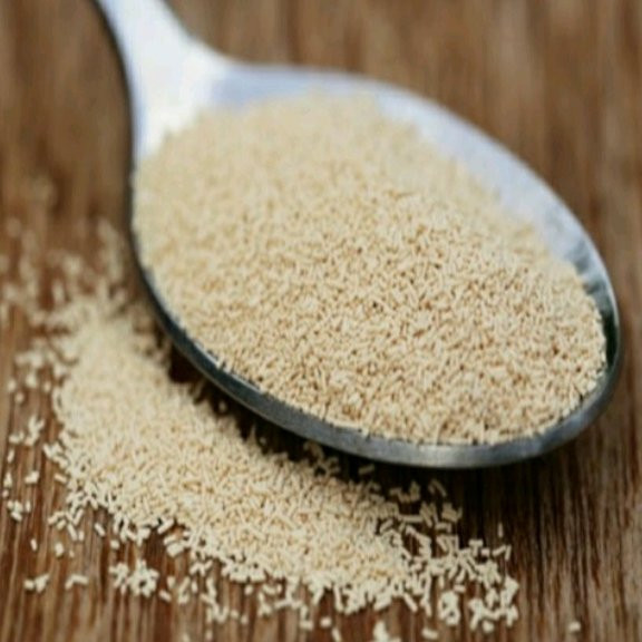 مایه خمیر 5ستاره فدک (100 گرم)