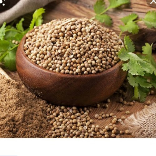 پودر تخم گشنیز ممتاز فدک (100 گرم)