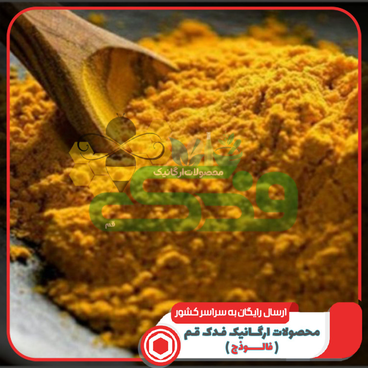 زردچوبه 5ستاره فدک (500گرم)