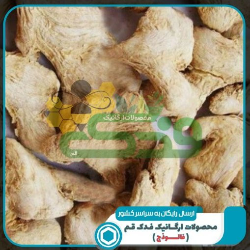 زنجبیل خشک ممتاز فدک (100گرم)