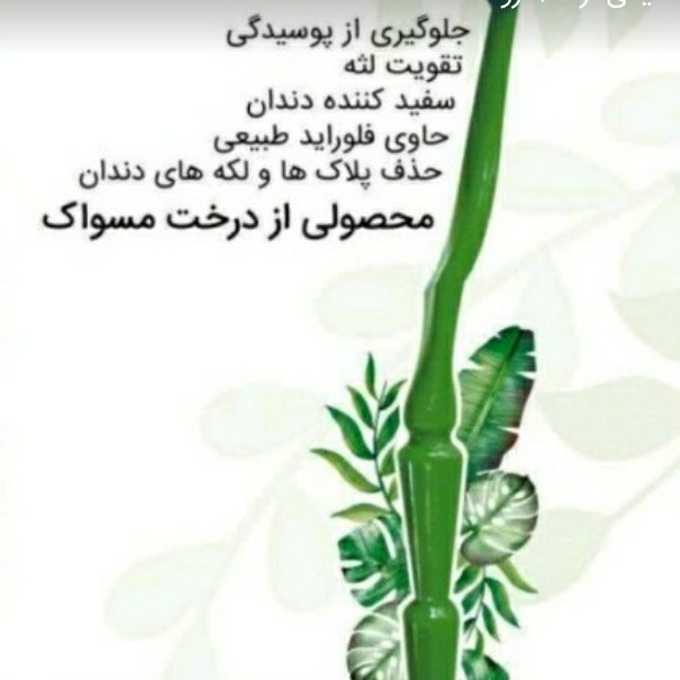 مسواک طبیعی مسویکا فدک (بهمراه 3 سری چوب اراک)