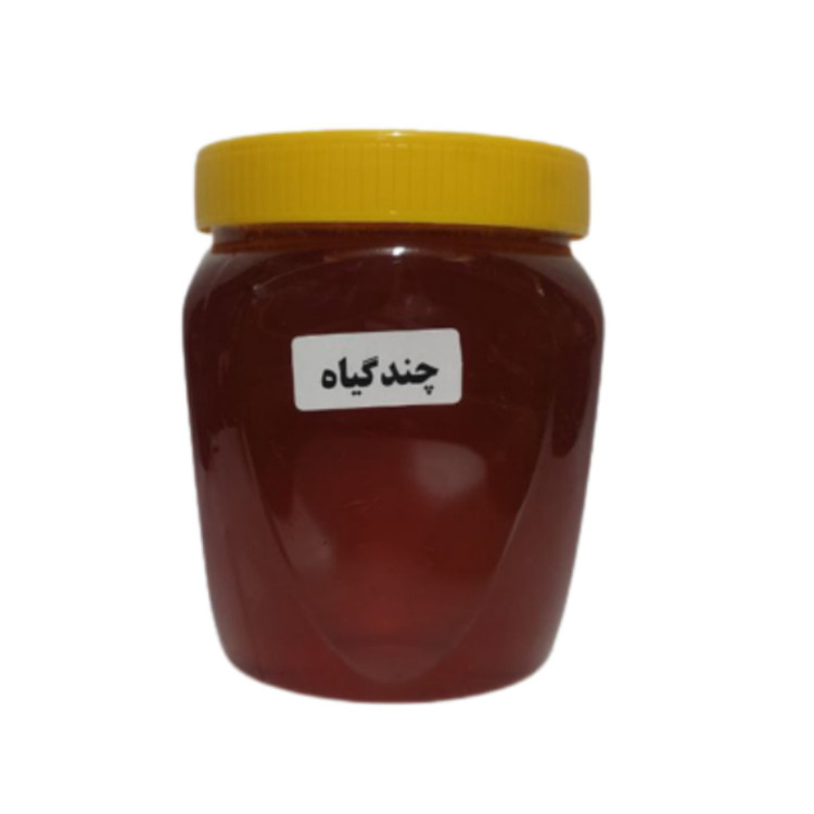 عسل چندگیاه 5ستاره فدک (500 گرم)