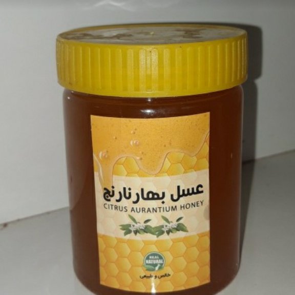عسل بهارنارنج فدک (500 گرم)