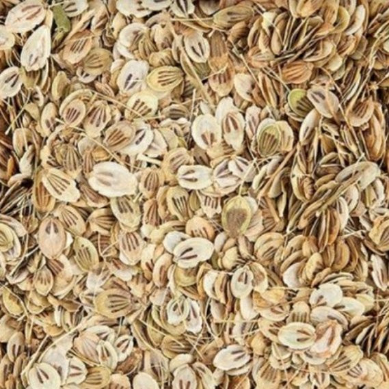 گلپر درشت ممتاز فدک (100گرم)