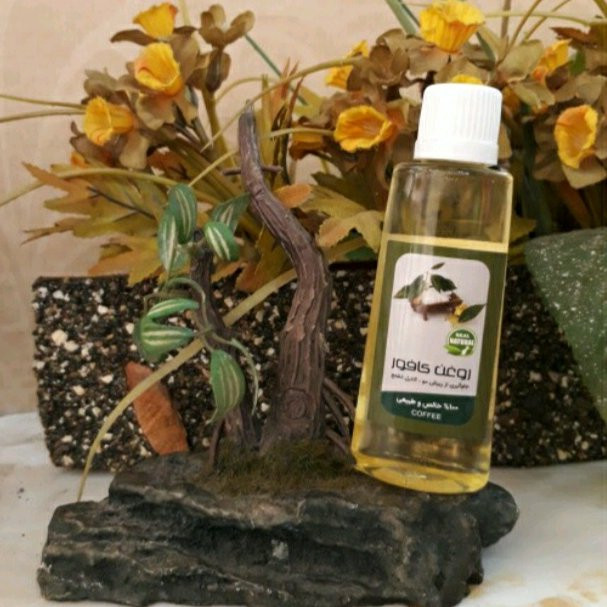 روغن کافور 5ستاره 45 سی سی فدک ( ضد ریزش مو ضد تشنج)